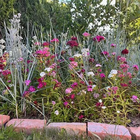 キャンプ場 Baltyk *